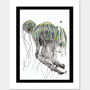 Graceful Jellyfish Posters and Art